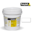 Picture of POLYTHANE P 10 - WHITE - 20L